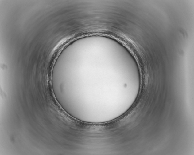 X0000091231306200708091106