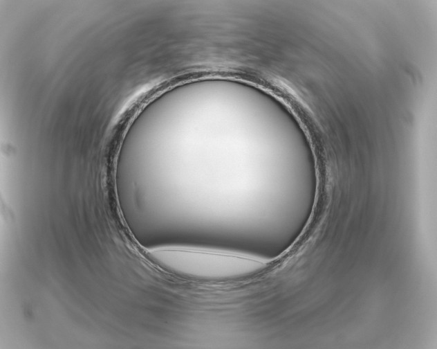 X0000091231307200708091106