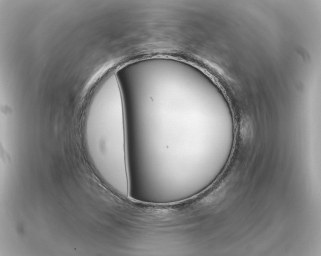 X0000091231309200708091106