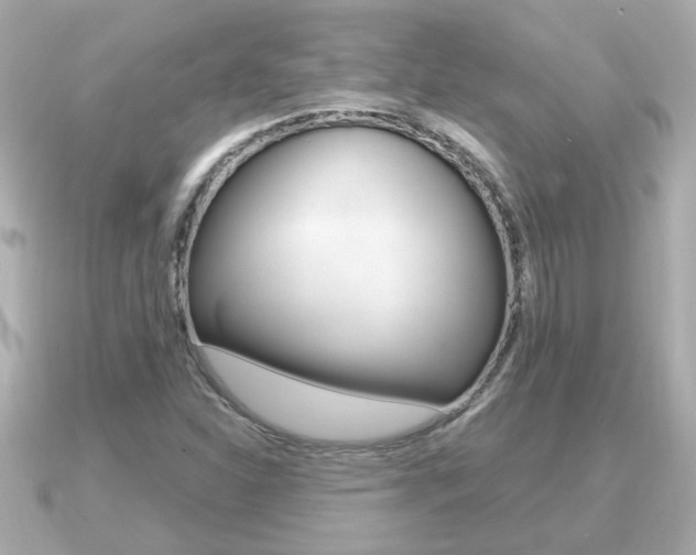 X0000091231310200708091106