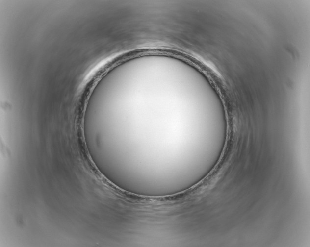 X0000091231311200708091106