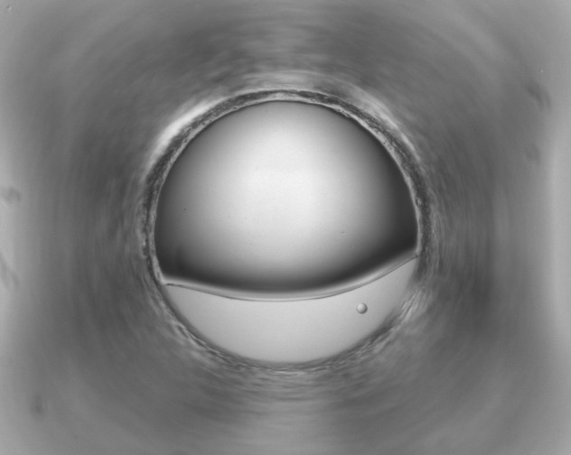 X0000091231312200708091106