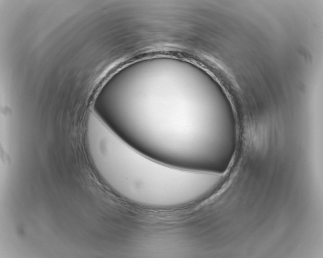 X0000091231313200708091106
