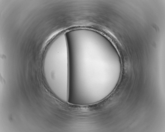 X0000091231315200708091106