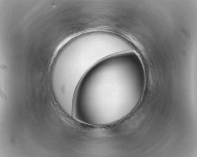 X0000091231316200708091106