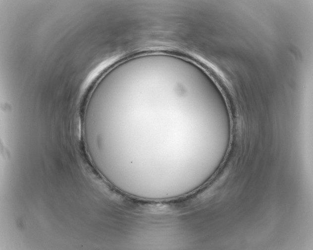 X0000091231317200708091106