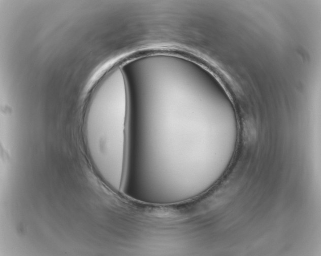 X0000091231319200708091106