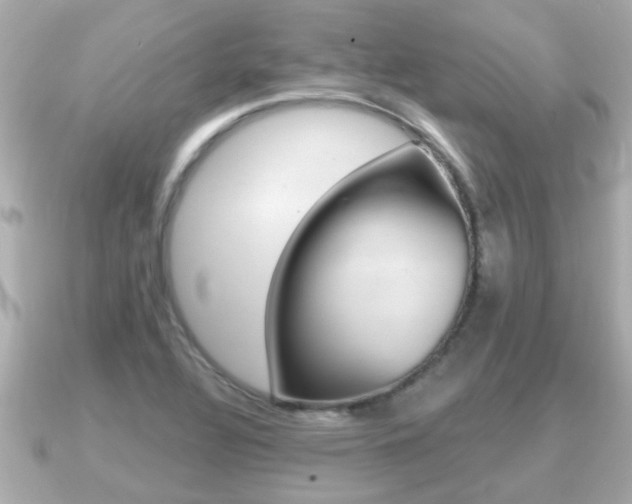 X0000091231320200708091106