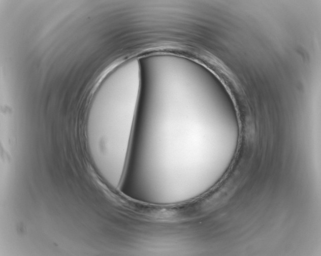 X0000091231321200708091106