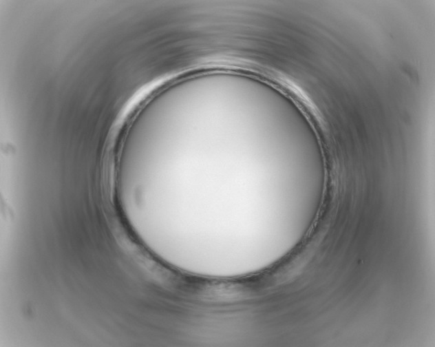 X0000091231323200708091106