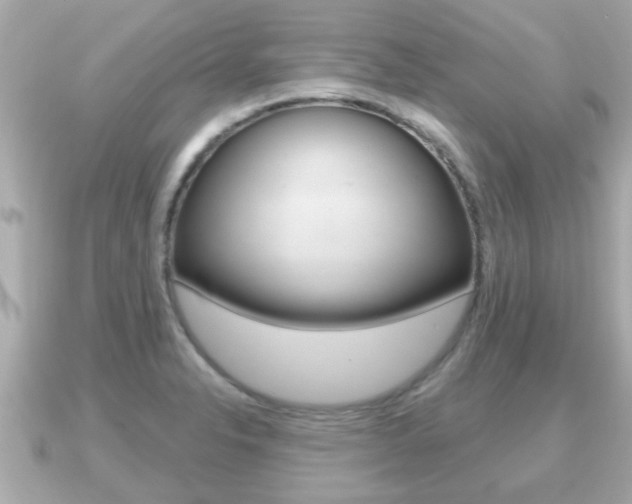 X0000091231326200708091106