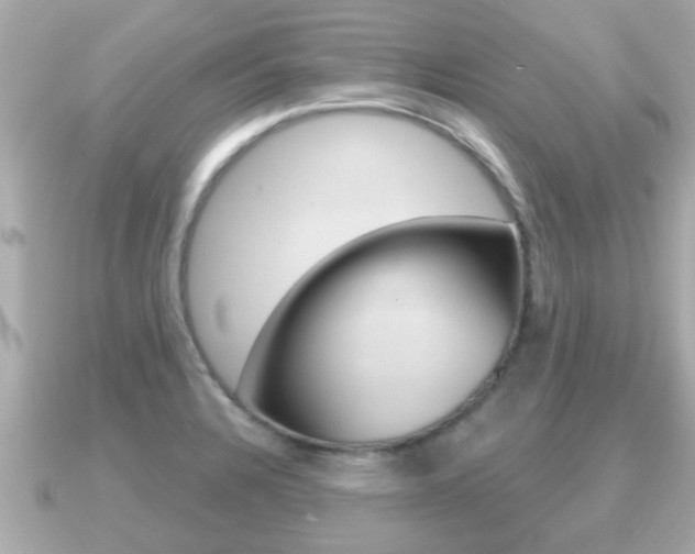 X0000091231328200708091106