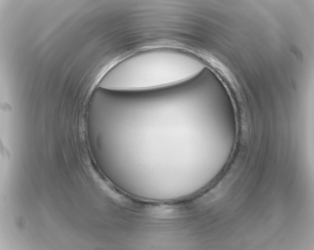 X0000091231329200708091106