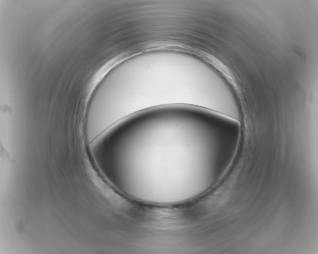 X0000091231330200708091106