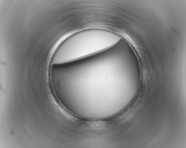 X0000091231331200708091106