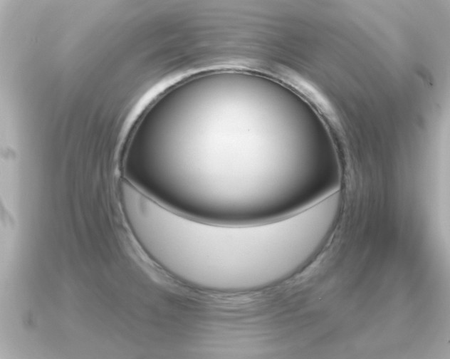 X0000091231332200708091106