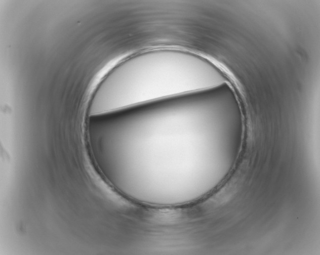 X0000091231333200708091106