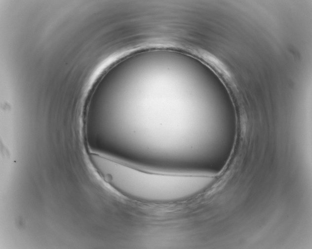 X0000091231334200708091106