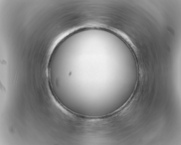 X0000091231335200708091106