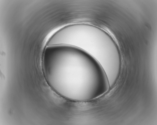 X0000091231336200708091106
