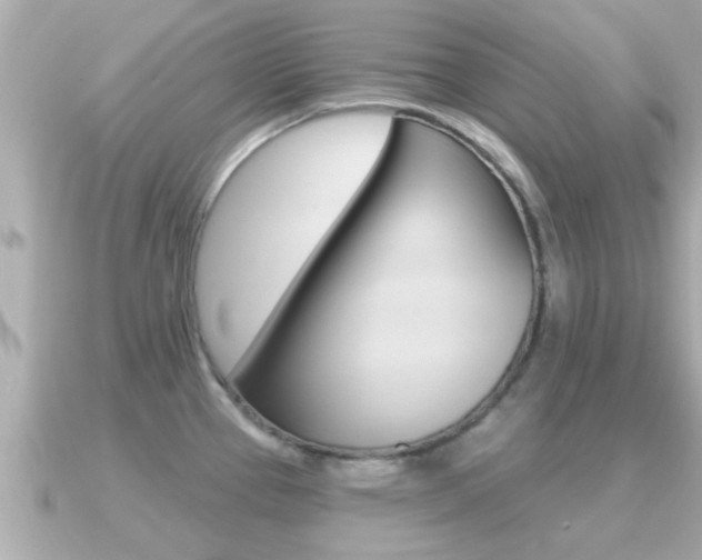 X0000091231337200708091106