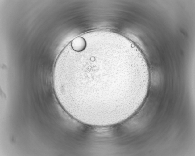X0000091231338200708091106