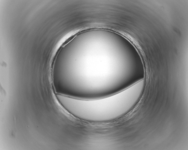 X0000091231342200708091107