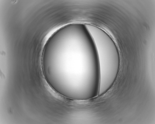 X0000091231344200708091107
