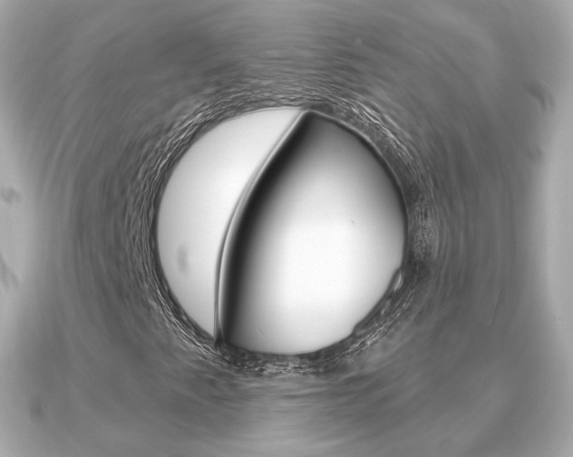 X0000091231345200708091106