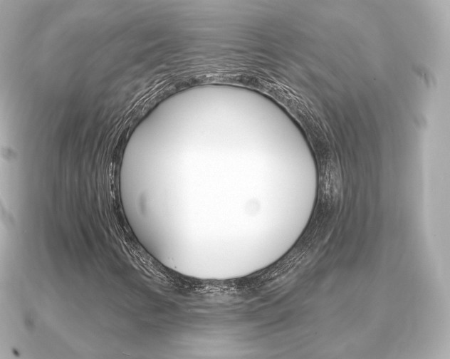 X0000091231346200708091106
