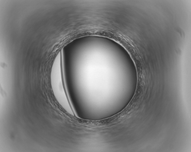 X0000091231349200708091106