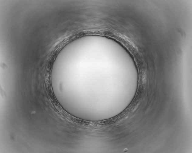 X0000091231350200708091106