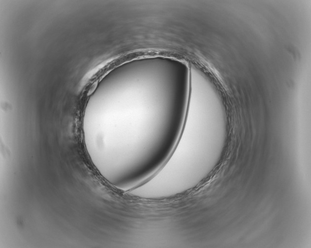 X0000091231352200708091106
