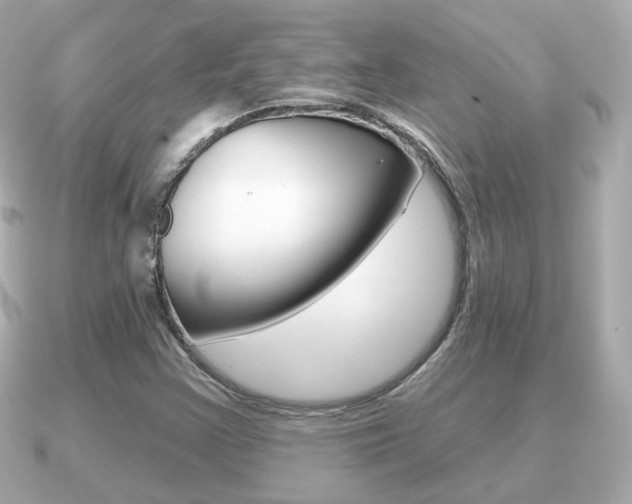 X0000091231355200708091106