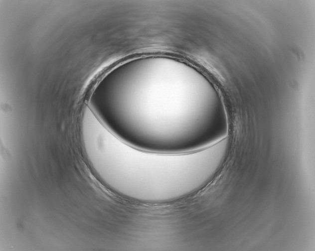 X0000091231356200708091106