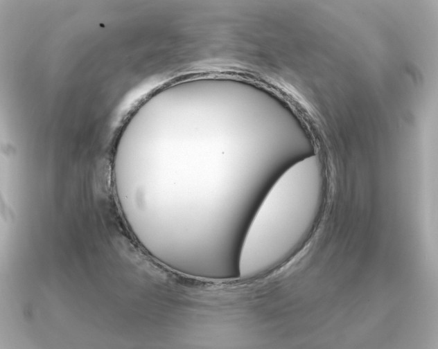 X0000091231358200708091106