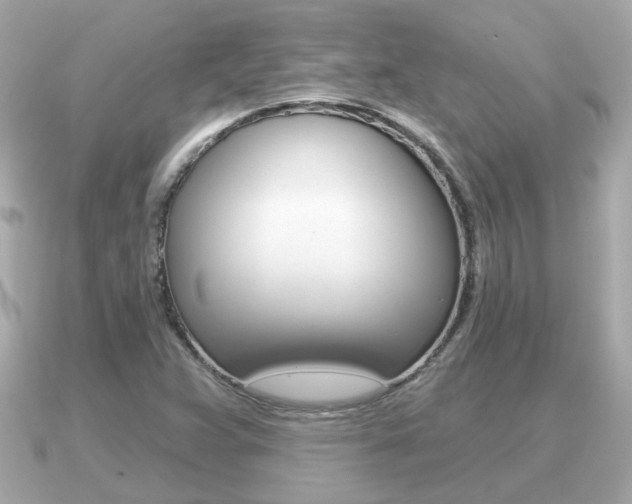 X0000091231359200708091106