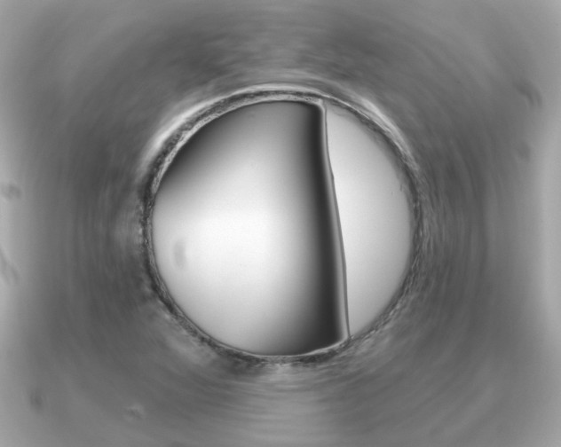 X0000091231360200708091106