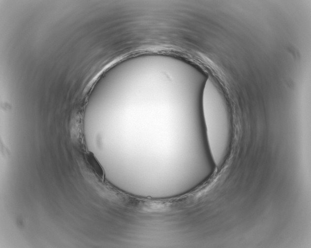 X0000091231361200708091106