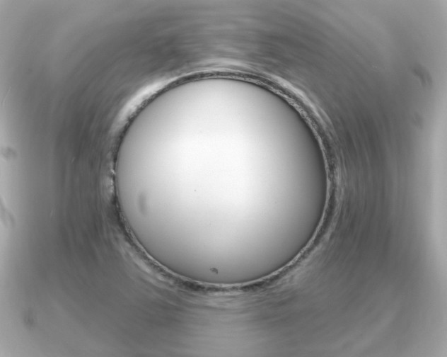 X0000091231363200708091106