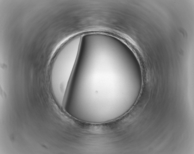 X0000091231364200708091106