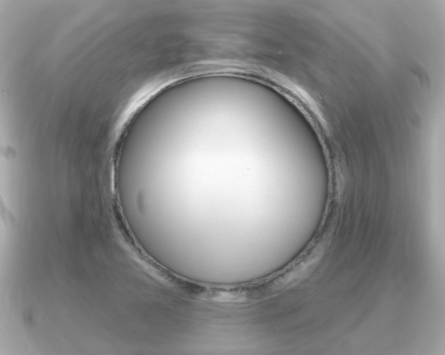 X0000091231365200708091106