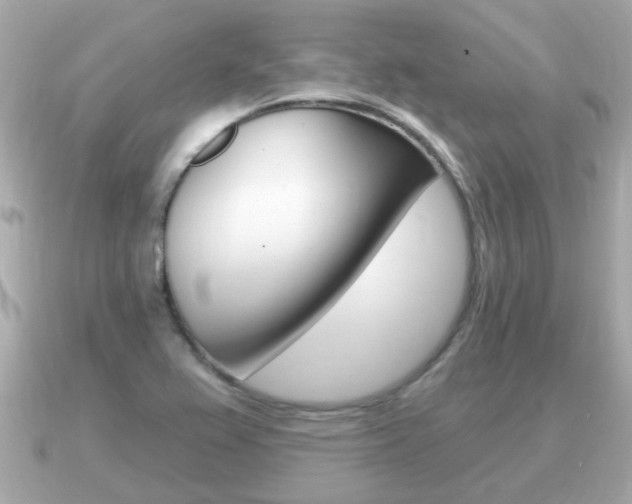 X0000091231367200708091106