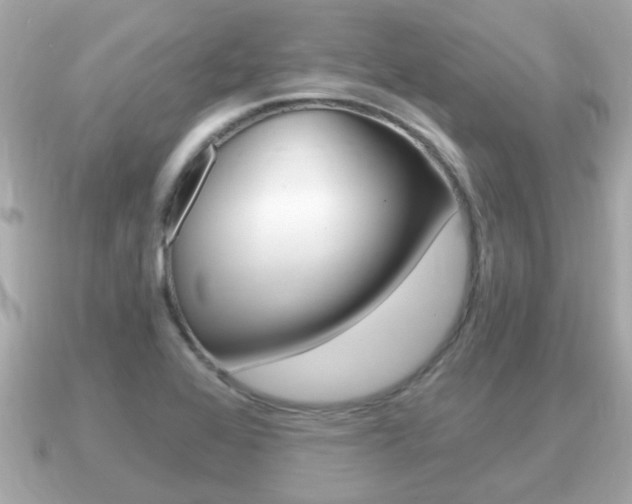 X0000091231368200708091106