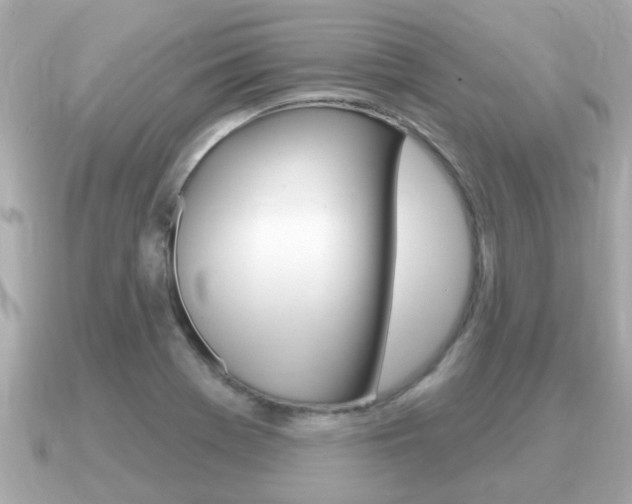 X0000091231369200708091106