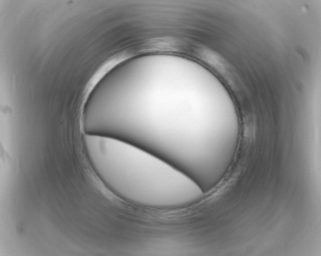 X0000091231370200708091106