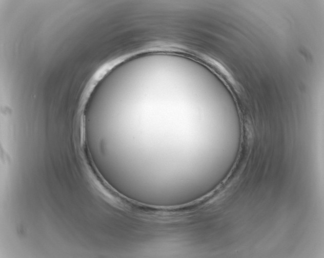X0000091231371200708091106
