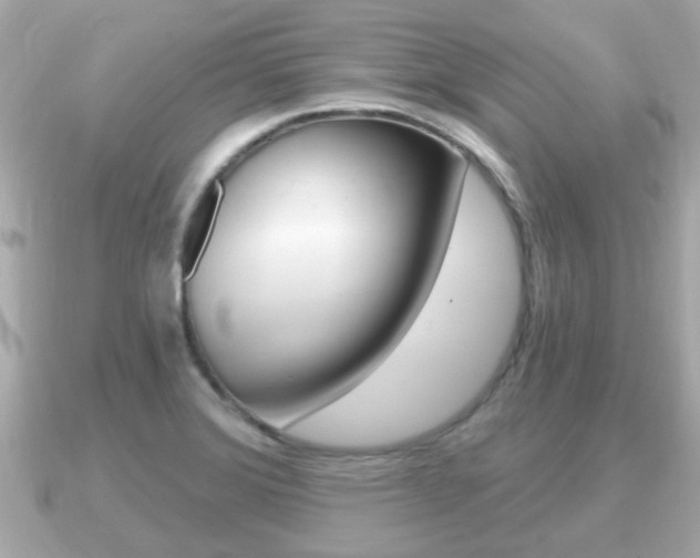 X0000091231372200708091106