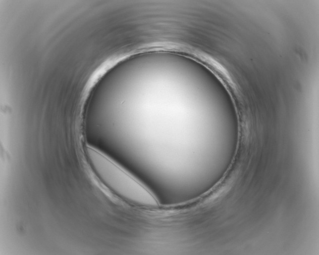 X0000091231373200708091106