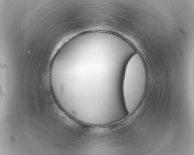 X0000091231374200708091106